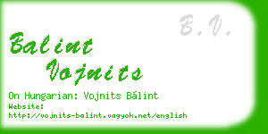 balint vojnits business card