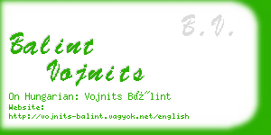 balint vojnits business card